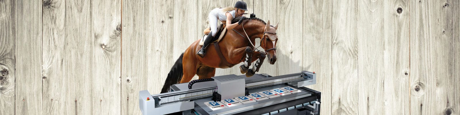 Reitsport