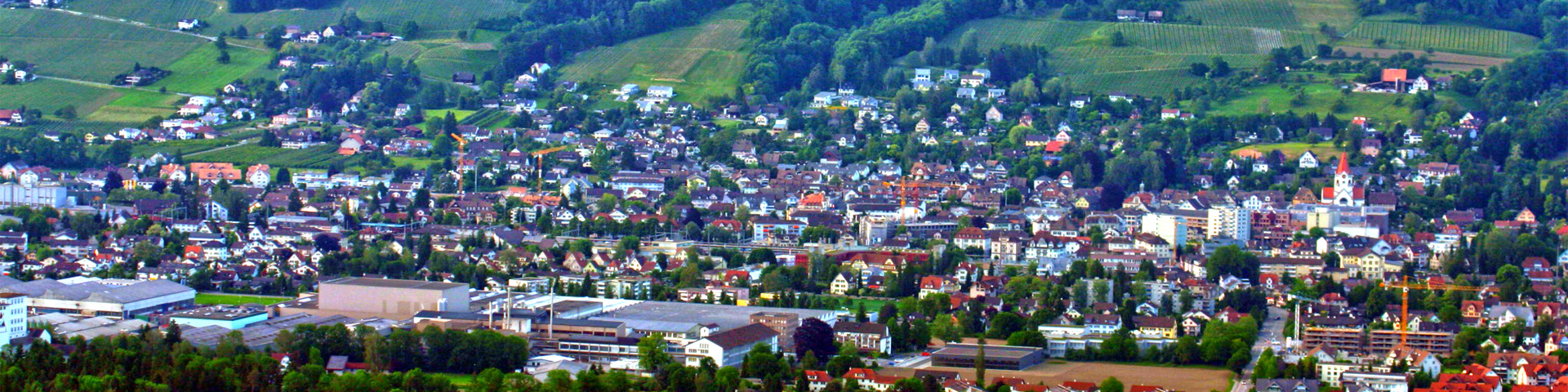 Swiss-Ditec GmbH - Firmenadresse Weinfelden